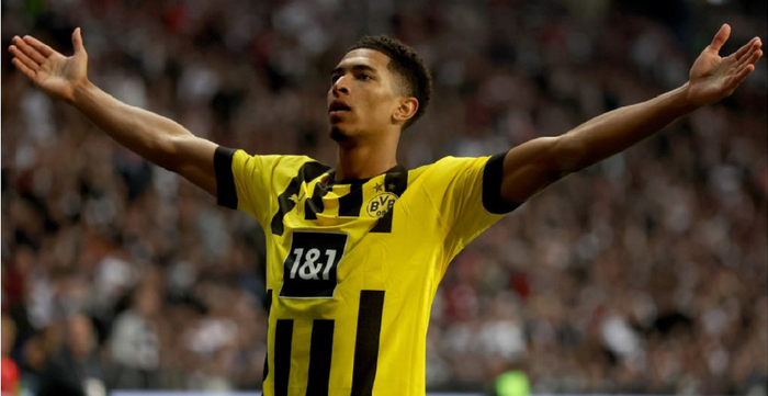 新鲜血液 新鲜血液