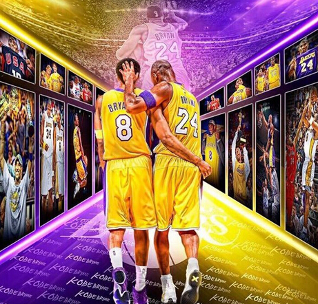 她的视野布 她的视野布